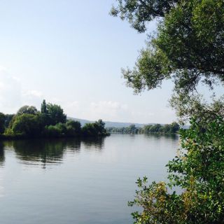 Maxhof - Mosel