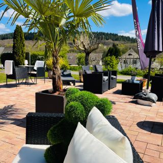 Lounge mit Palmen